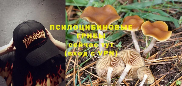 твердый Покров