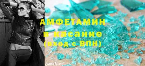 прущие грибы Весьегонск